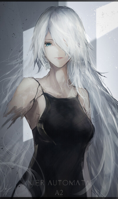 A2