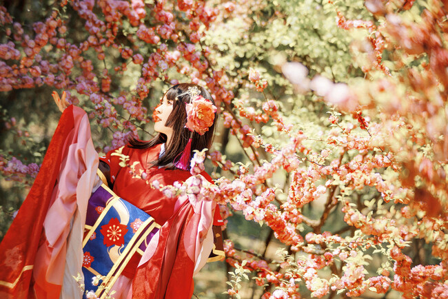 樱花妖 cn: 晏初
❀桜花が咲いたようだな