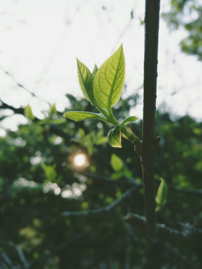 我这儿春暖花开，我在美好的时光等你。