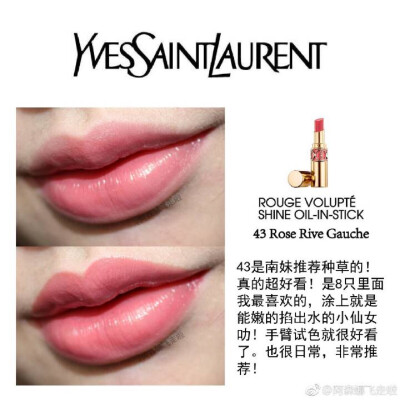 YSL #43