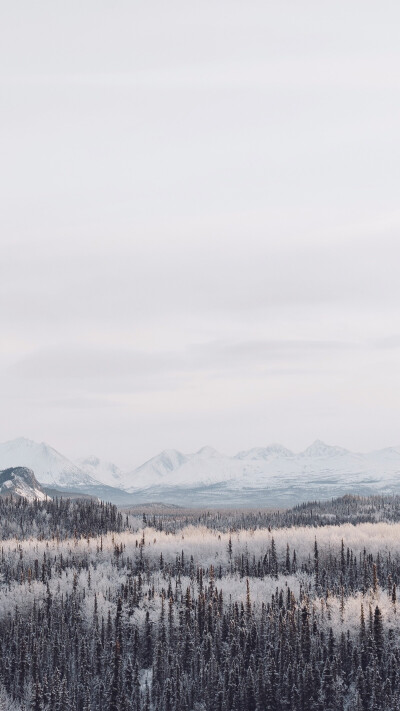 白雪 风景 壁纸