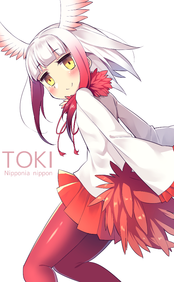 toki