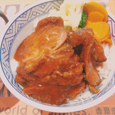 鸭肉饭