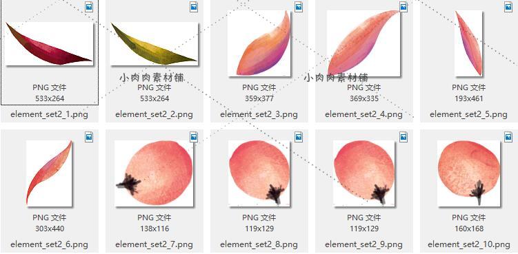 热带植物棕榈叶天堂鸟包装图案背景手绘水彩PNG免抠素材png184