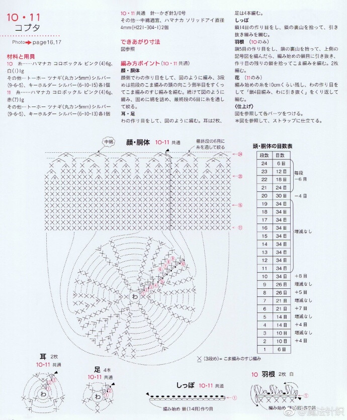 小飞猪----2