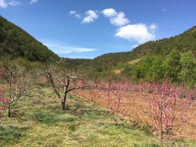 茶马古道