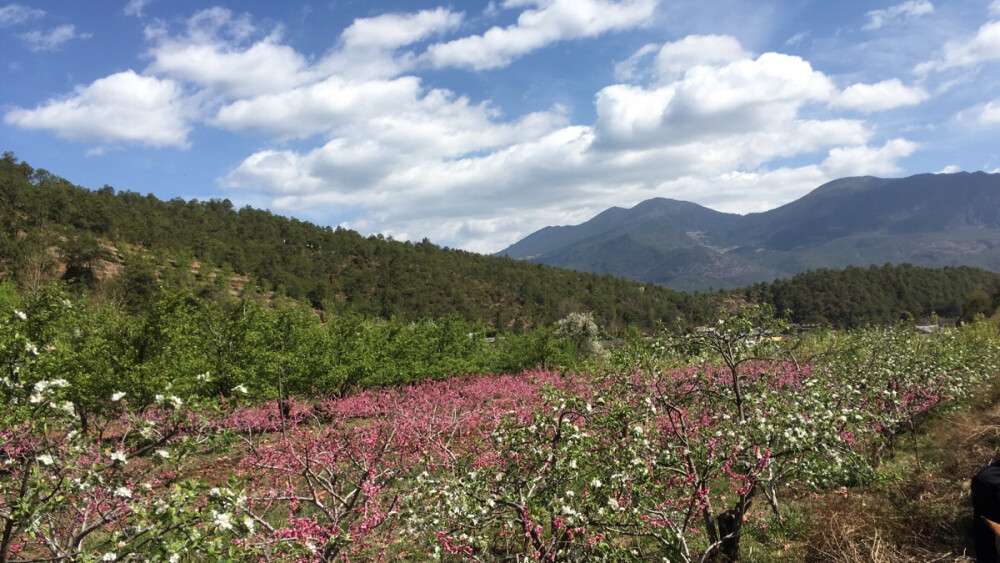 茶马古道