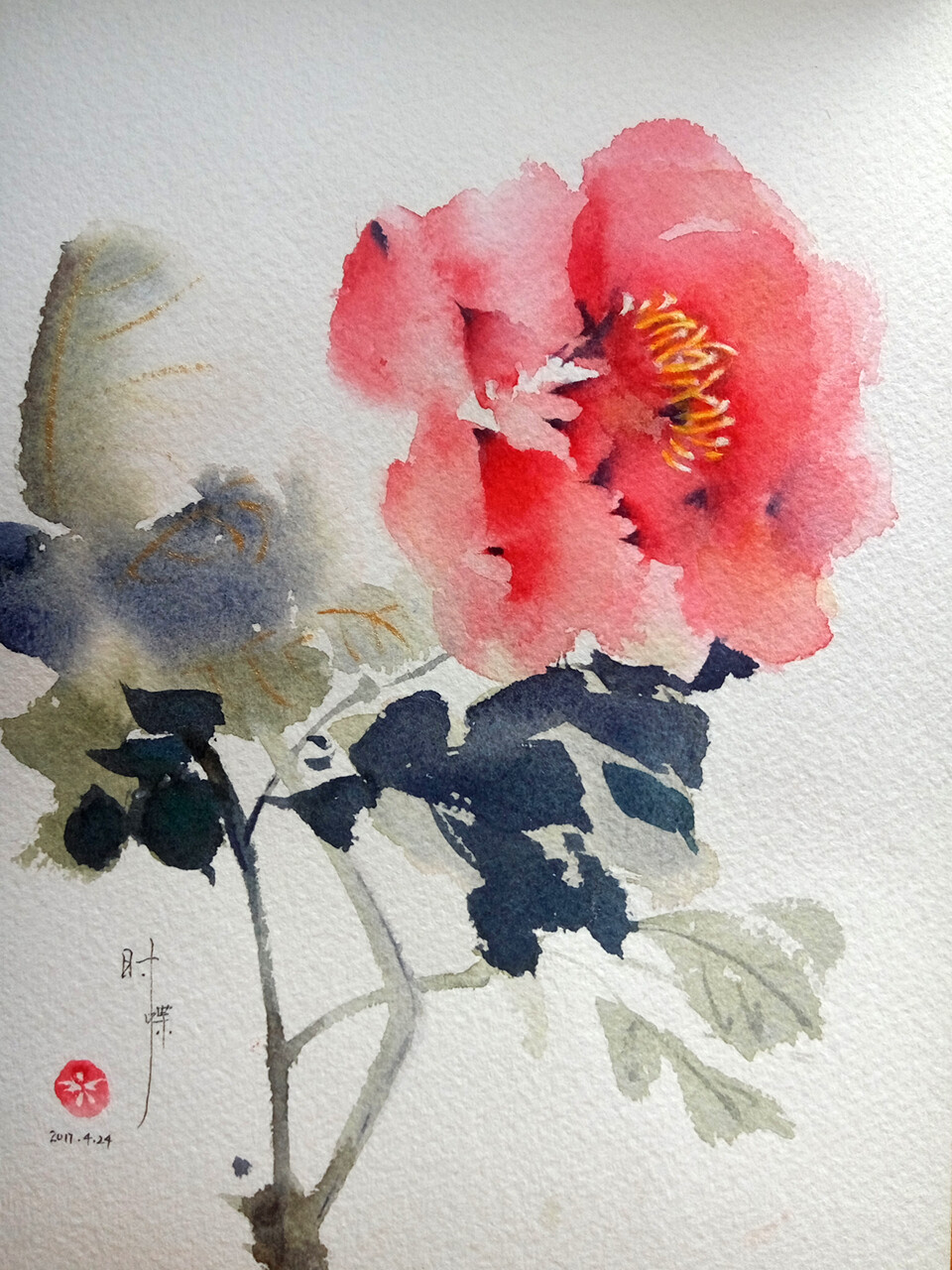 水彩牡丹花莳蝶绘