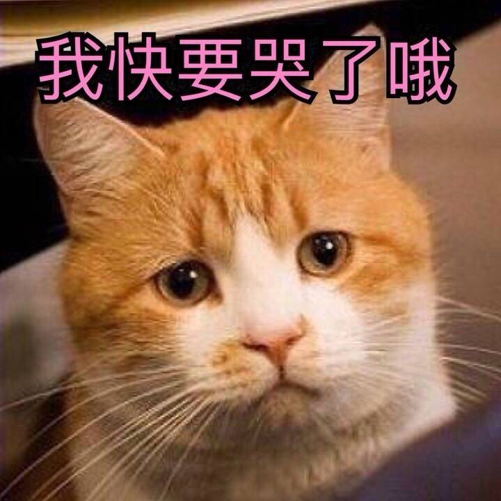 我快哭了哦