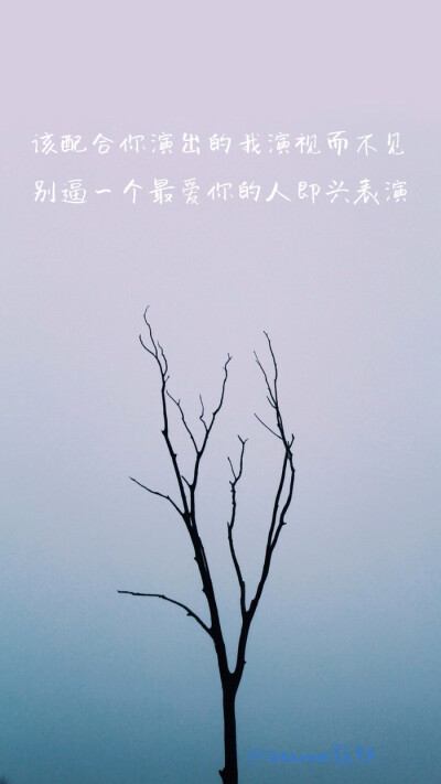 薛之谦歌词壁纸