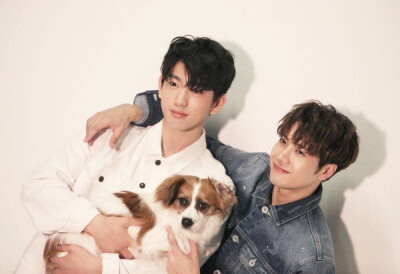 puppy line