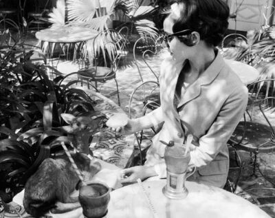 Audrey Hepburn and her pet deer, Ip, shopping in Beverly Hills, California, 1958.
