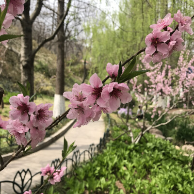 花花世界，一花一世界。