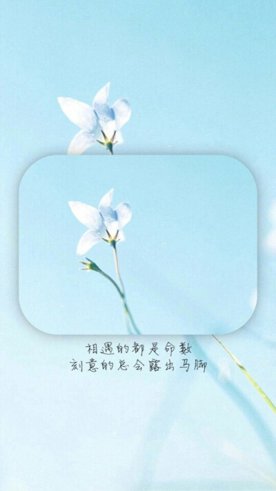与你相遇好幸运