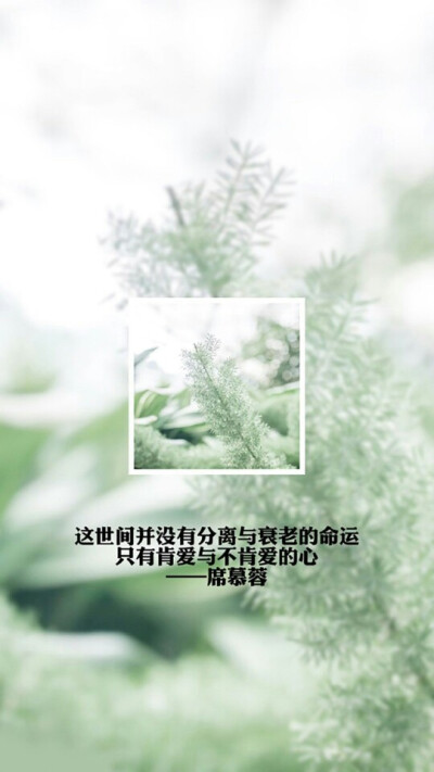 爱不爱都无所谓了
