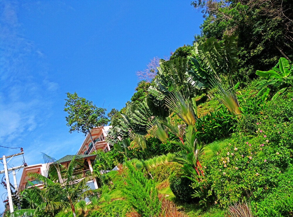 不经意翻出的蜜月旅行风景照