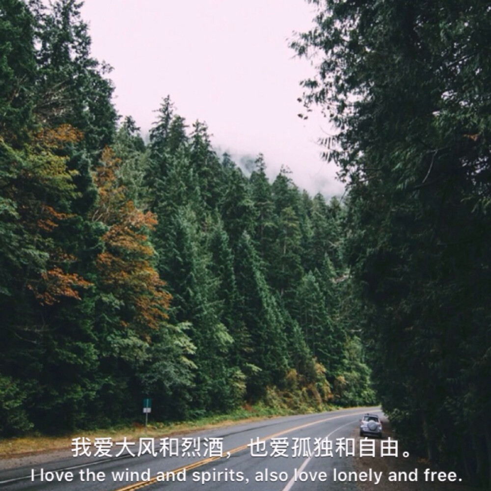 影音书