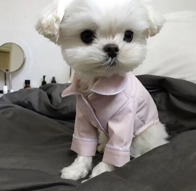 女头/动漫/个别男头