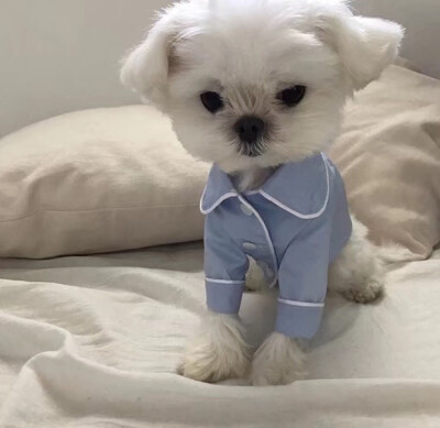 女头/动漫/个别男头