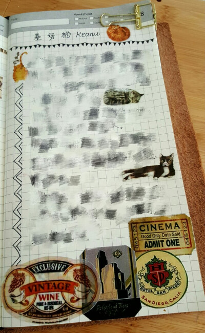 豆瓣5.5的电影，可能是为了猫