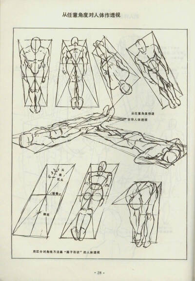 绘画学习