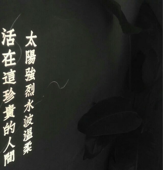 背景图.♡刈宝儿.♡
我怂就怂在了我喜欢你