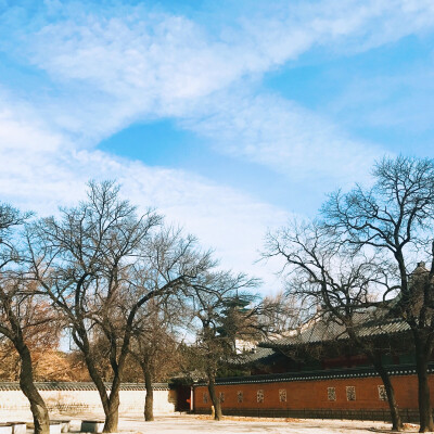 旅行 韩国 景福宫 风景