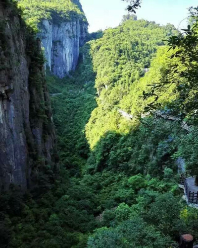 恩施大峡谷
缝壁茂密的灌木相互掩映，有的恨不得长到对面去，仿佛分别长在两岸的树木互打招呼，要知道一边是2亿年前形成的地质一边是2.9亿年形成的，悠悠9000多万年呀！