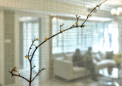 绘装APP三室装修效果图简约欧式装修图库