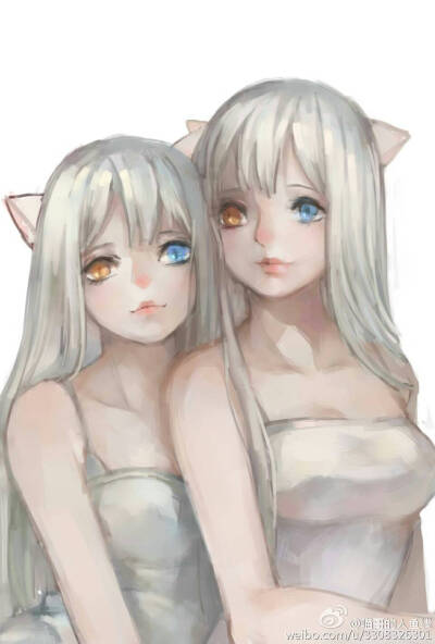 猫咪拟人 转自微博@中原遥_