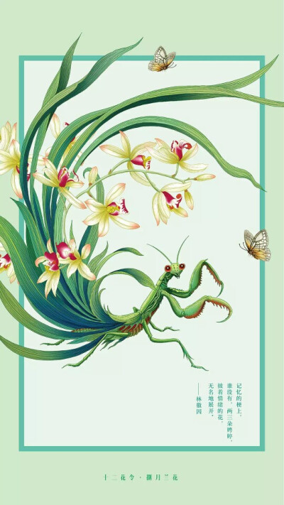 十二花令，八月
兰花开幽谷，素心皎皎，芳馥清风