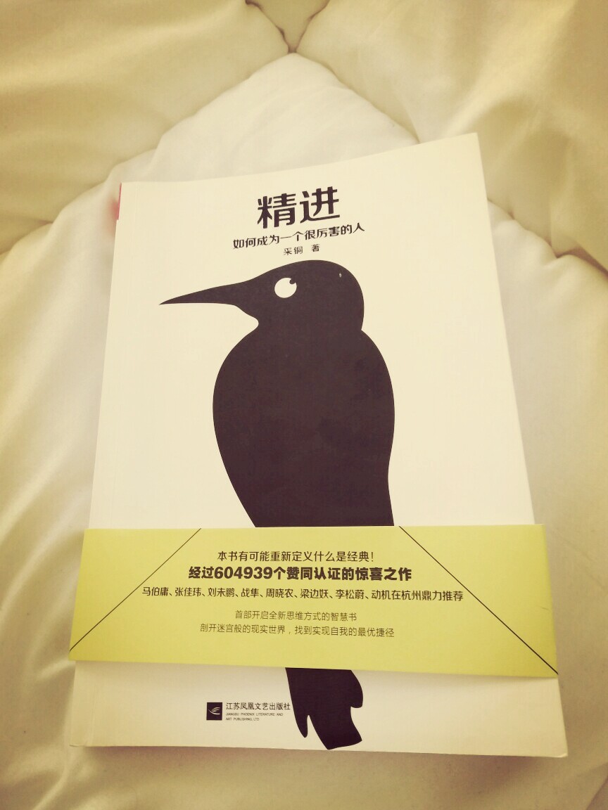 “人从来都是自己成全自己的。”“这是一本值得反复咀嚼的书籍，只读一遍肯定是不够滴~”
《精进·如何成为一个很厉害的人》——采铜