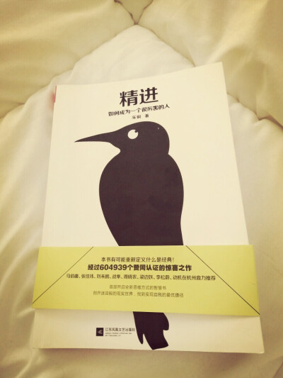 “人从来都是自己成全自己的。”“这是一本值得反复咀嚼的书籍，只读一遍肯定是不够滴~”
《精进·如何成为一个很厉害的人》——采铜