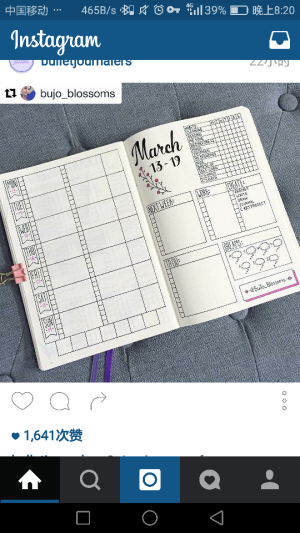 bullet journal