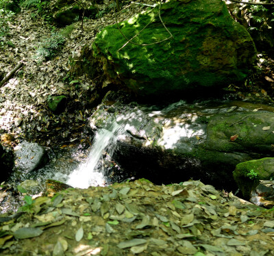 岳麓山.四月