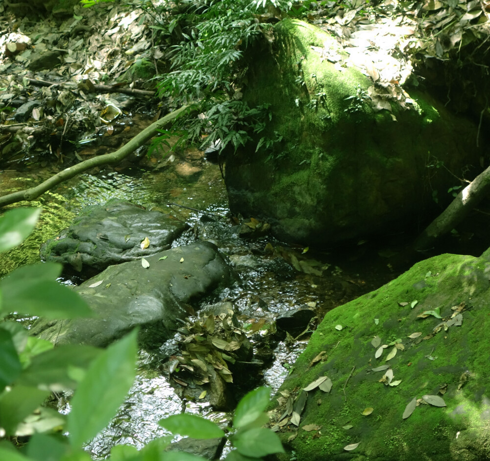 岳麓山.四月