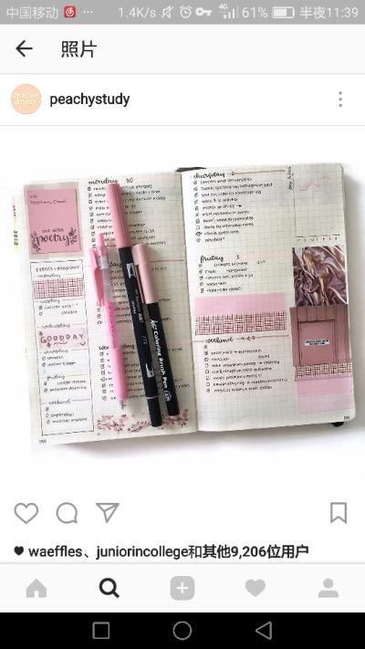 bullet journal