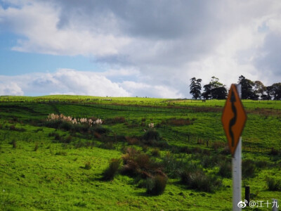 North Island, NZ一路向北。