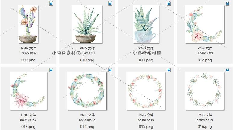 手绘多肉植物仙人掌盆栽芦荟花盆包装设计图案PNG免抠素材png187