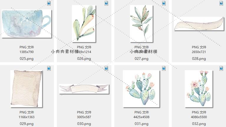 手绘多肉植物仙人掌盆栽芦荟花盆包装设计图案PNG免抠素材png187