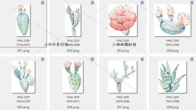 手绘多肉植物仙人掌盆栽芦荟花盆包装设计图案PNG免抠素材png187