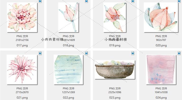 手绘多肉植物仙人掌盆栽芦荟花盆包装设计图案PNG免抠素材png187