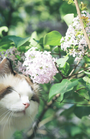 太美貌了，颜值太高