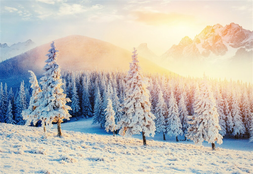 高山上唯美冬季雪天风景