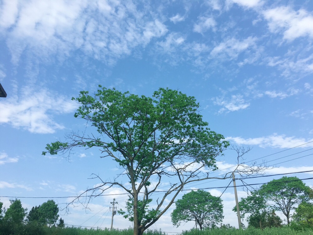 碧蓝如洗