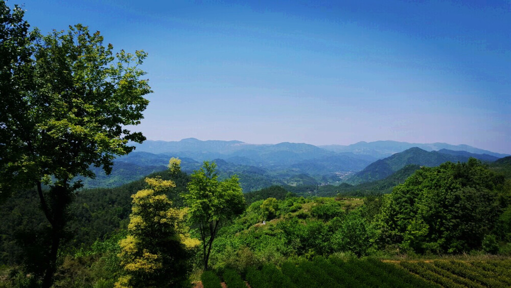 乡间邂景~