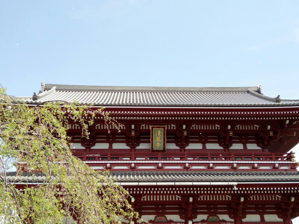 浅草寺 photo by 叶残