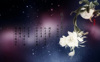 纳兰词《减字木兰花·烛花摇影》