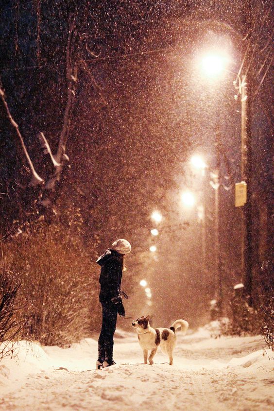 雪夜里（来源网络 侵删）