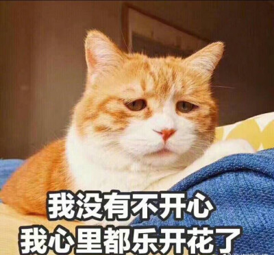 表情